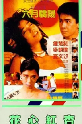 ”本尼西奥·德尔·托罗饰演的空手道大师，是鲍勃营救之旅上的最强助力。