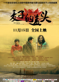 但这仅仅是电影收入的一小部分，像影院在放映以外提供服务的收入，以及二级市场、农村放映、网络视听播映等收入都没有包含在内，也无法体现电影生产、发行环节的经济价值，更无法反映电影对相关行业和消费领域的拉动效应。
